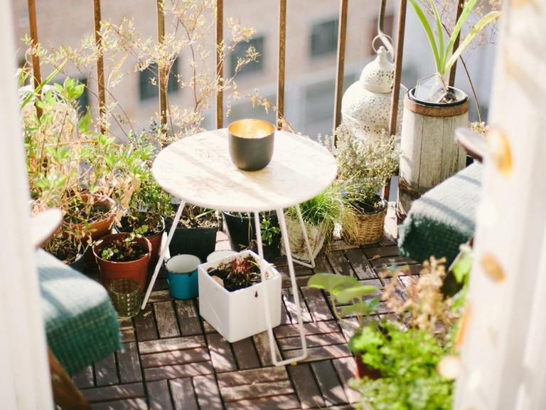 Ein Balkon voller Pflanzen in der Nachmittagssonne.