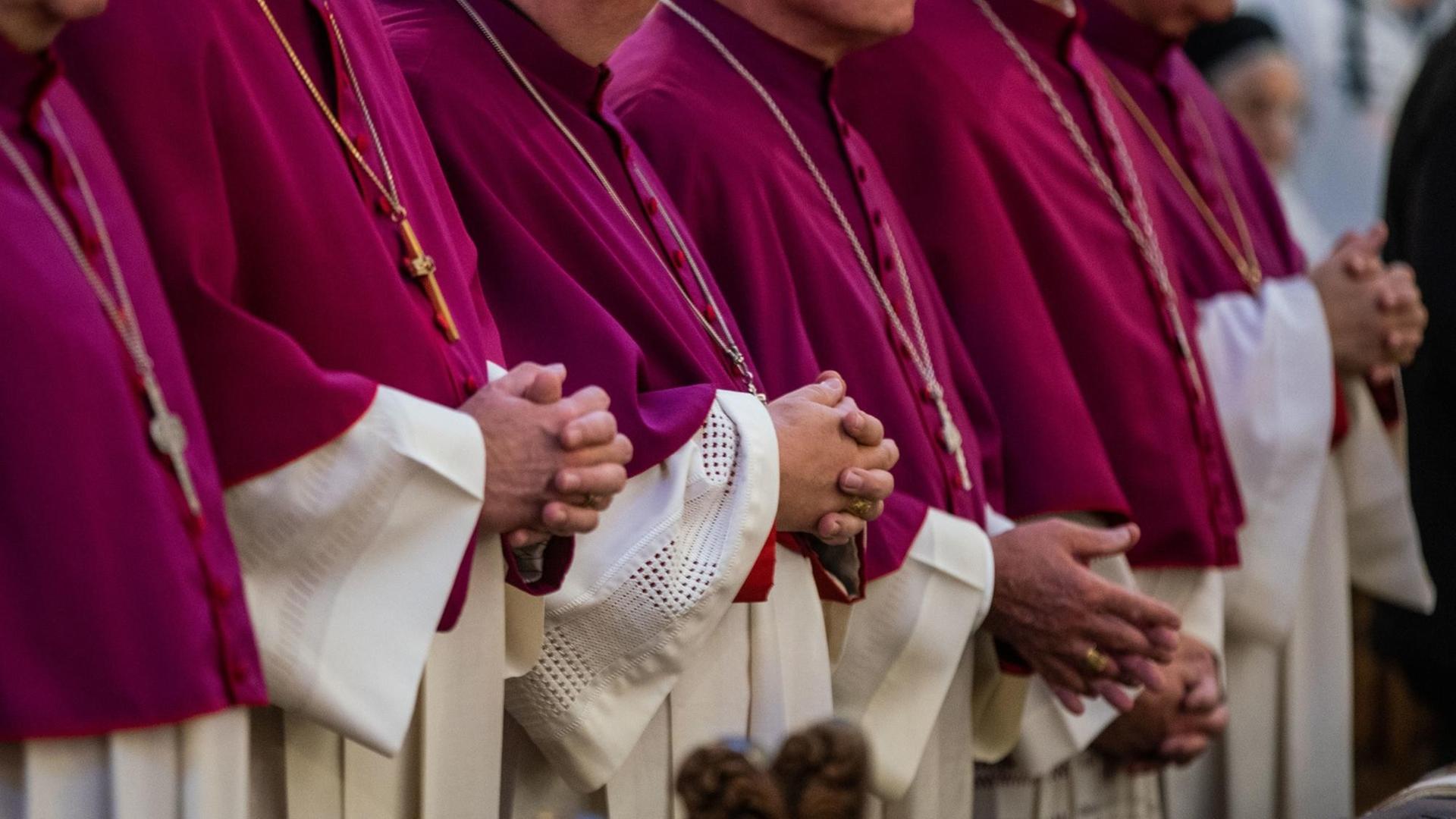 Sechs katholische Bischhöfe stehen in violetten Soutanen mit weißen Chorhemden gekleidet während einer Messe in einer Bank. Sie haben die Hände zum Gebet gefaltet.