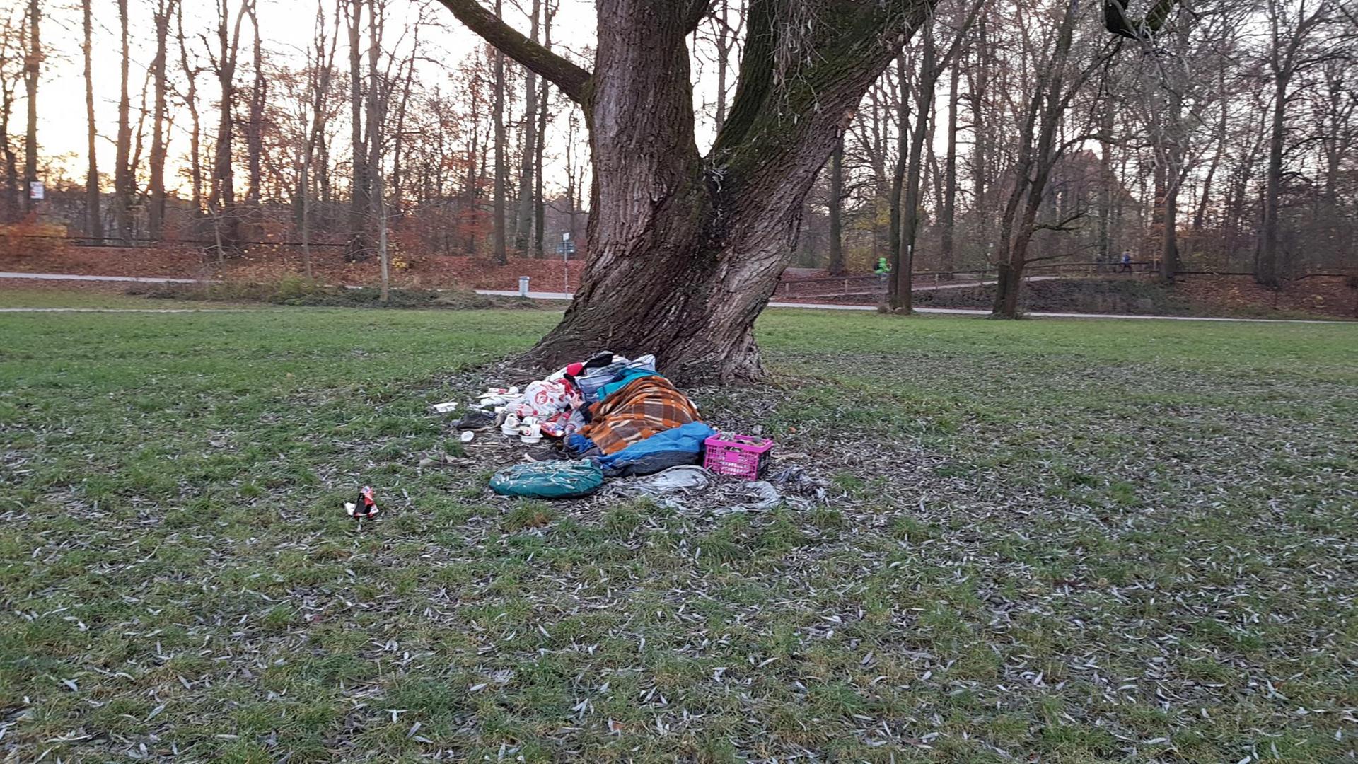 Schlafstätte unter einem Baum in einem Park Schlafstätte unter einem Baum in einem Park
