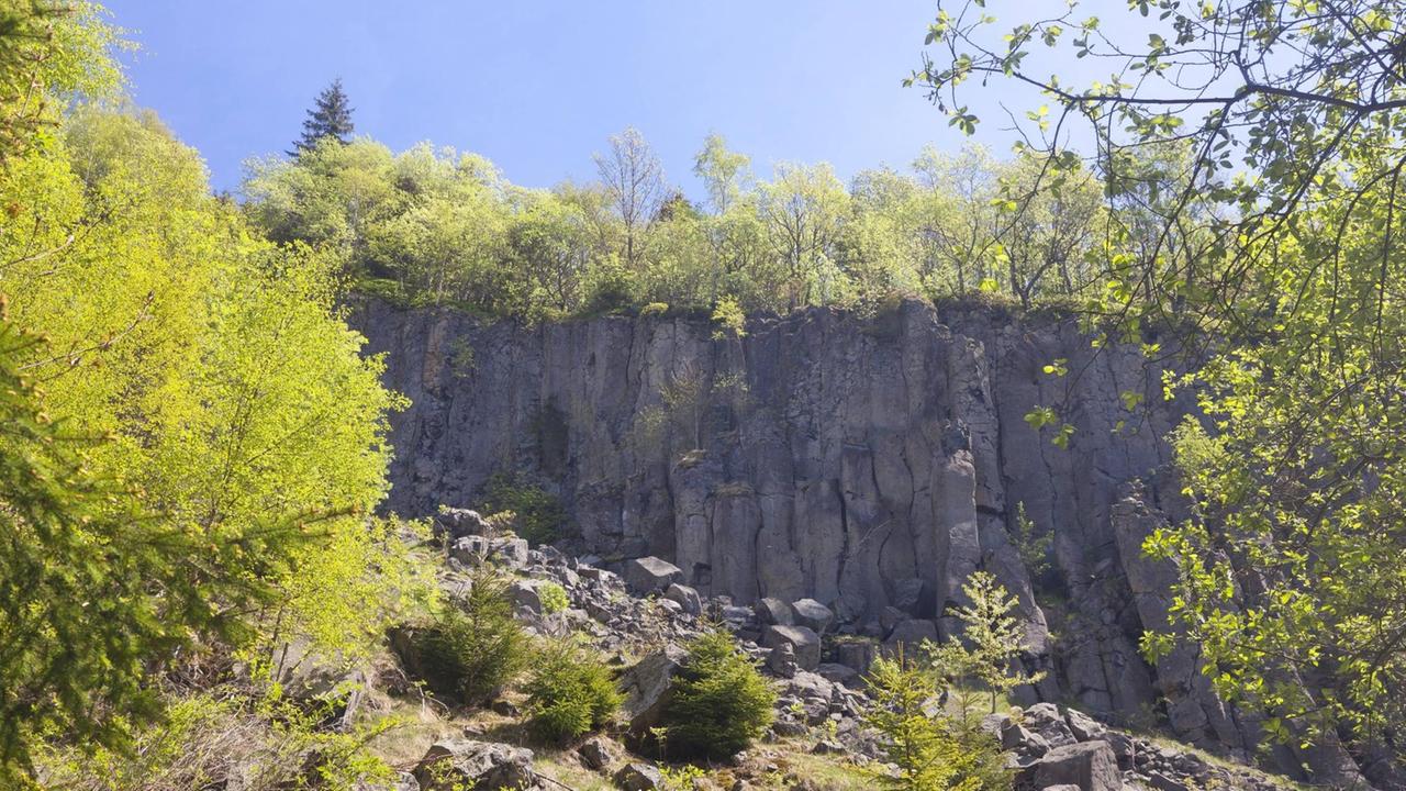 Basaltsäulen am Pöhlberg in Annaberg-Buchholz, Erzgebirge Basaltsäulen am Pöhlberg in Annaberg-Buchholz, Erzgebirge