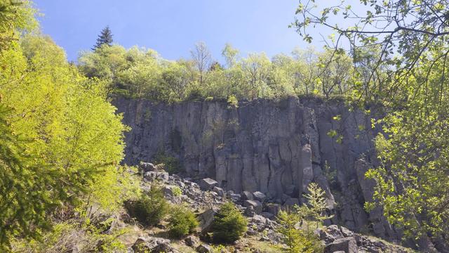 Basaltsäulen am Pöhlberg in Annaberg-Buchholz, Erzgebirge