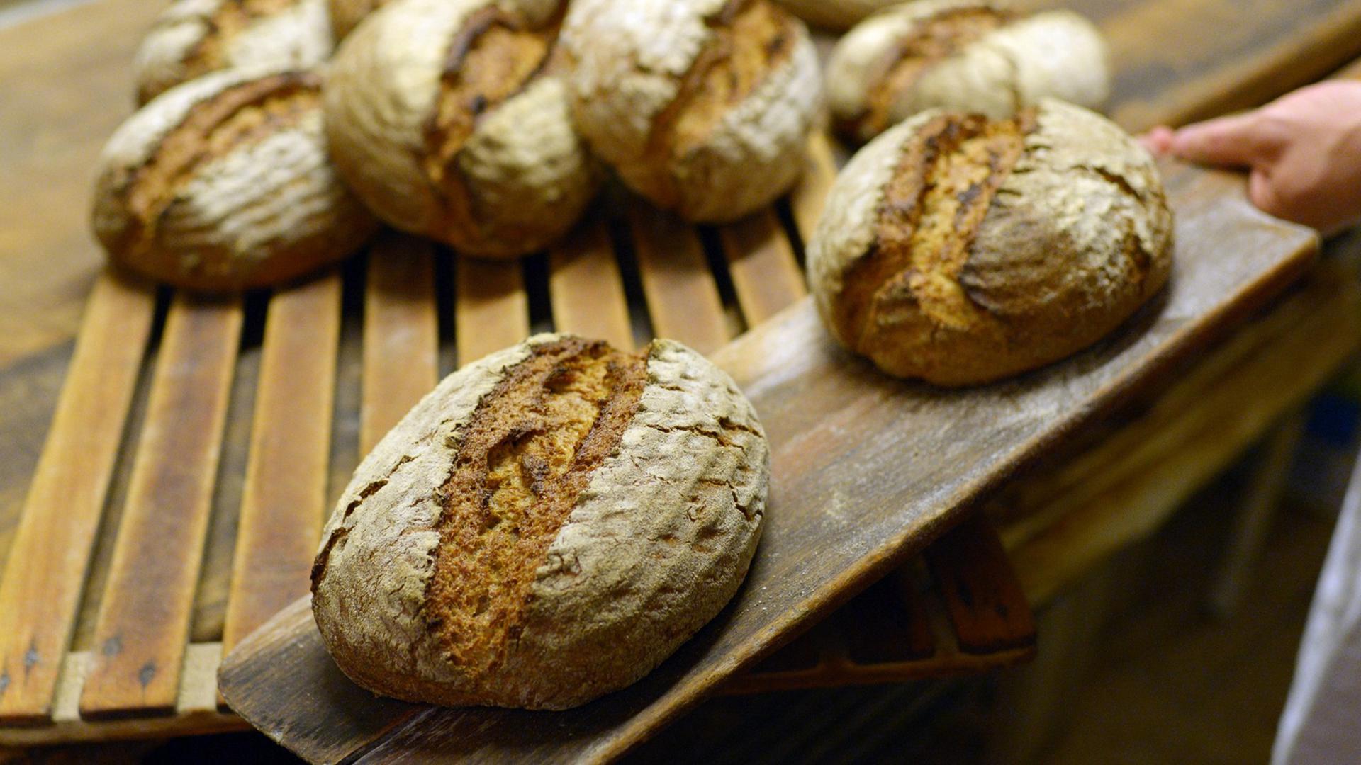 Roggenbrote kommen am 30.04.2014 in der Backstube des Biobäckers "Brotgarten" in Berlin aus dem Ofen. Roggenbrote kommen am 30.04.2014 in der Backstube des Biobäckers "Brotgarten" in Berlin aus dem Ofen.