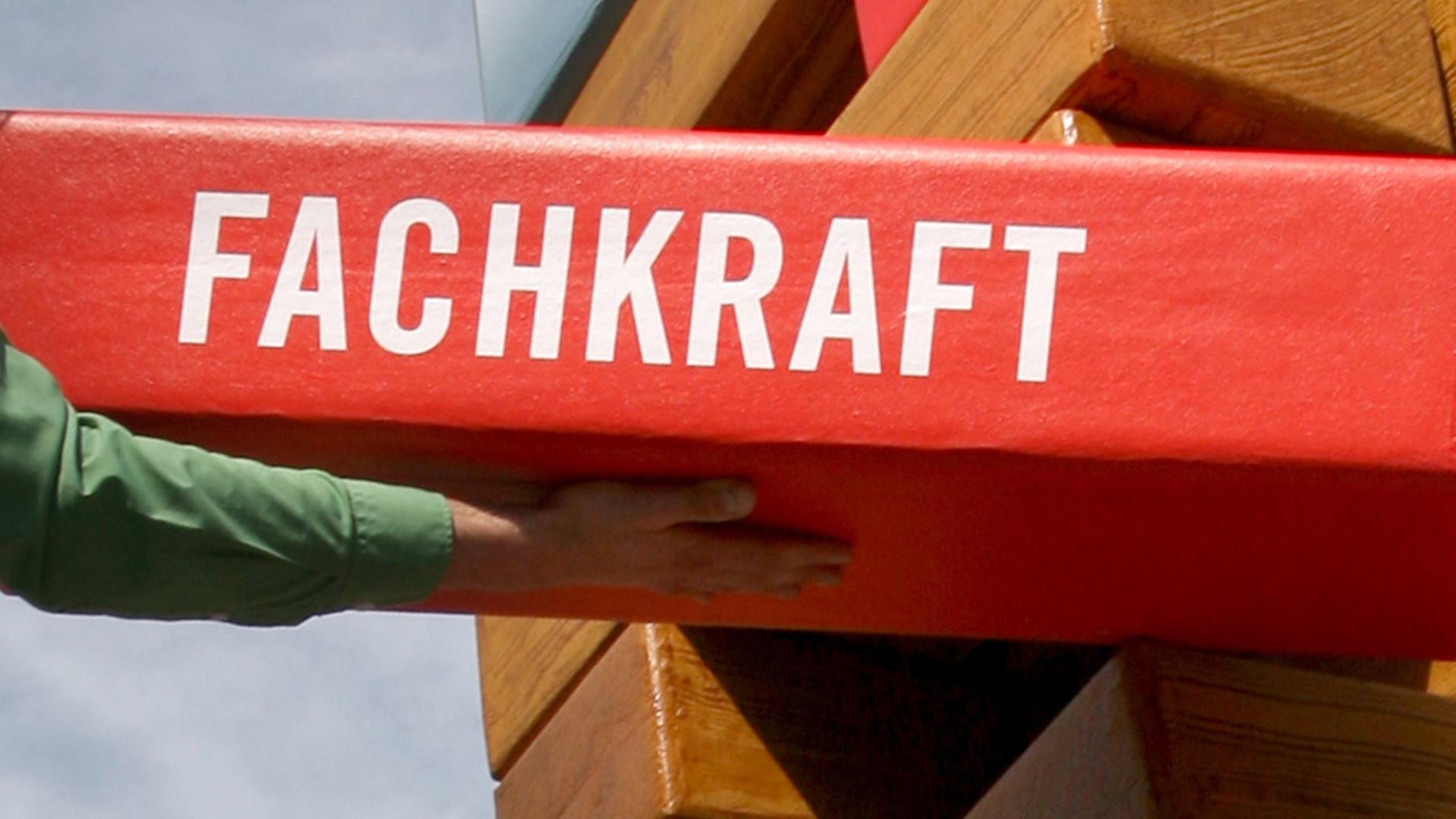 Baustein mit der Aufschrift "Fachkraft" Baustein mit der Aufschrift "Fachkraft"