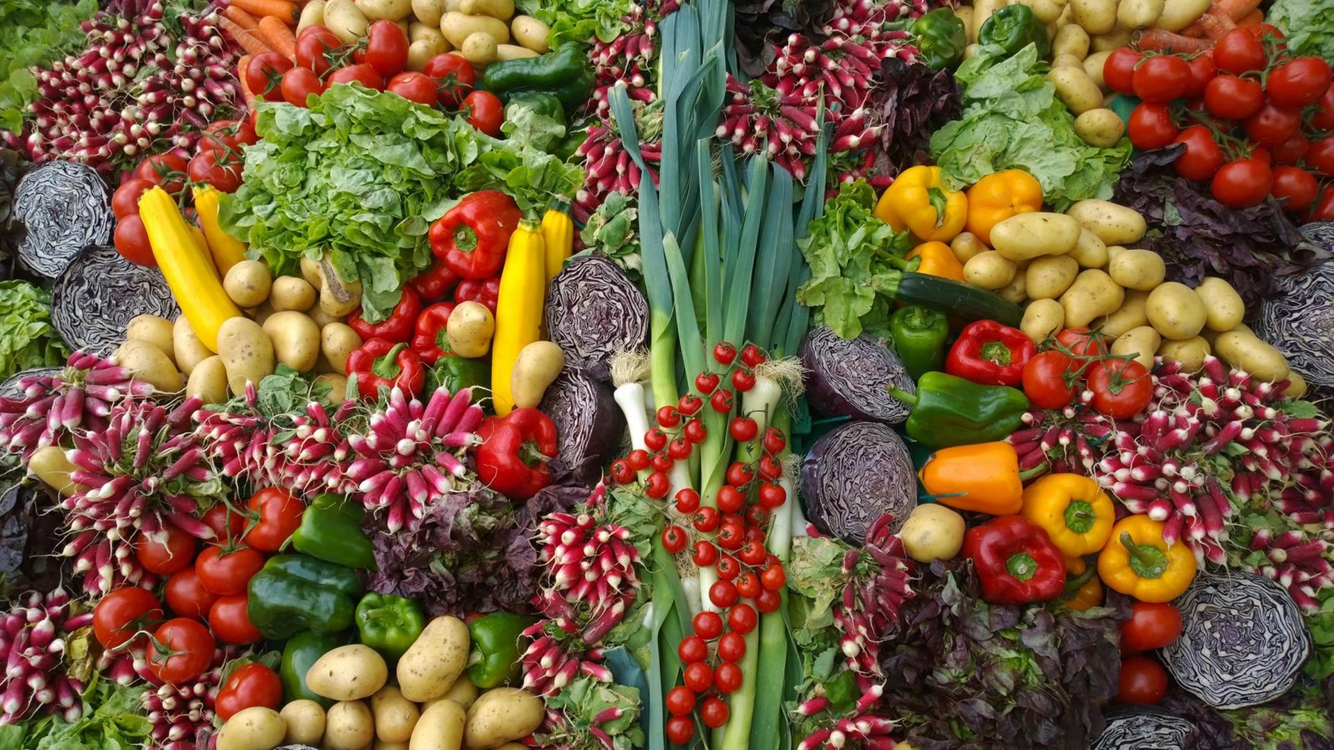 Verschiene Gemüsesorten wie Paprika, Rotkohl, Lauch, Zucchini, Kartoffeln und weitere, liegen nebeneinaner. Verschiene Gemüsesorten wie Paprika, Rotkohl, Lauch, Zucchini, Kartoffeln und weitere, liegen nebeneinaner.