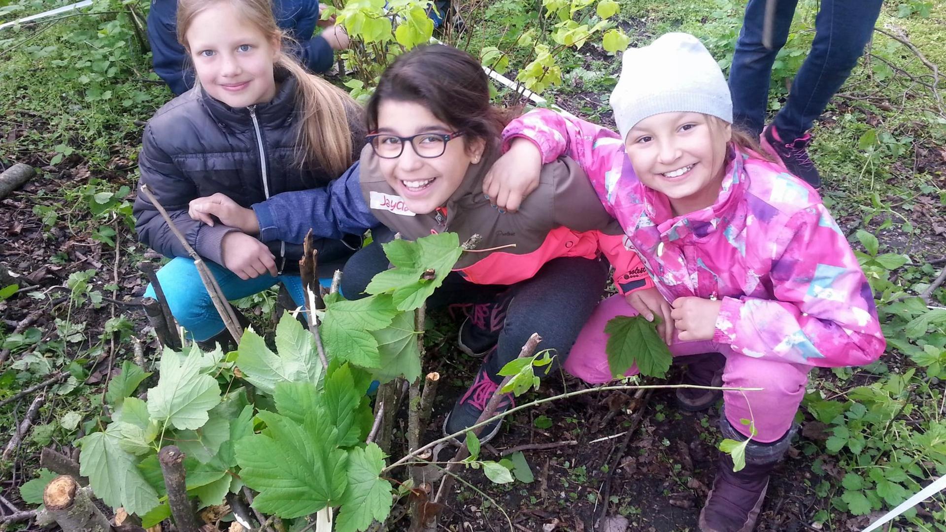 Kinder im Grünen Kinder im Grünen
