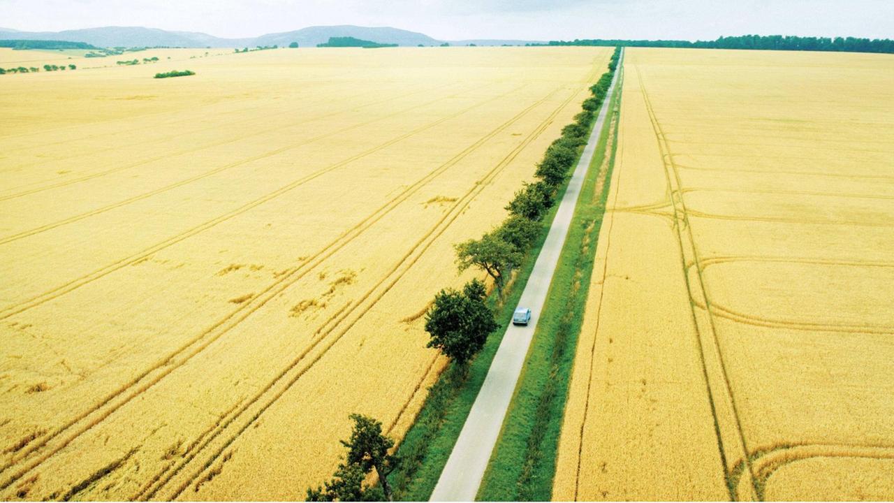 Zu sehen ist eine Straße, die durch ein Getreidefeld führt. Darauf ist ein blaues Auto. Das Bild stammt aus der Verfilmung des Romans "Tschick" von Wolfgang Herrndorf.