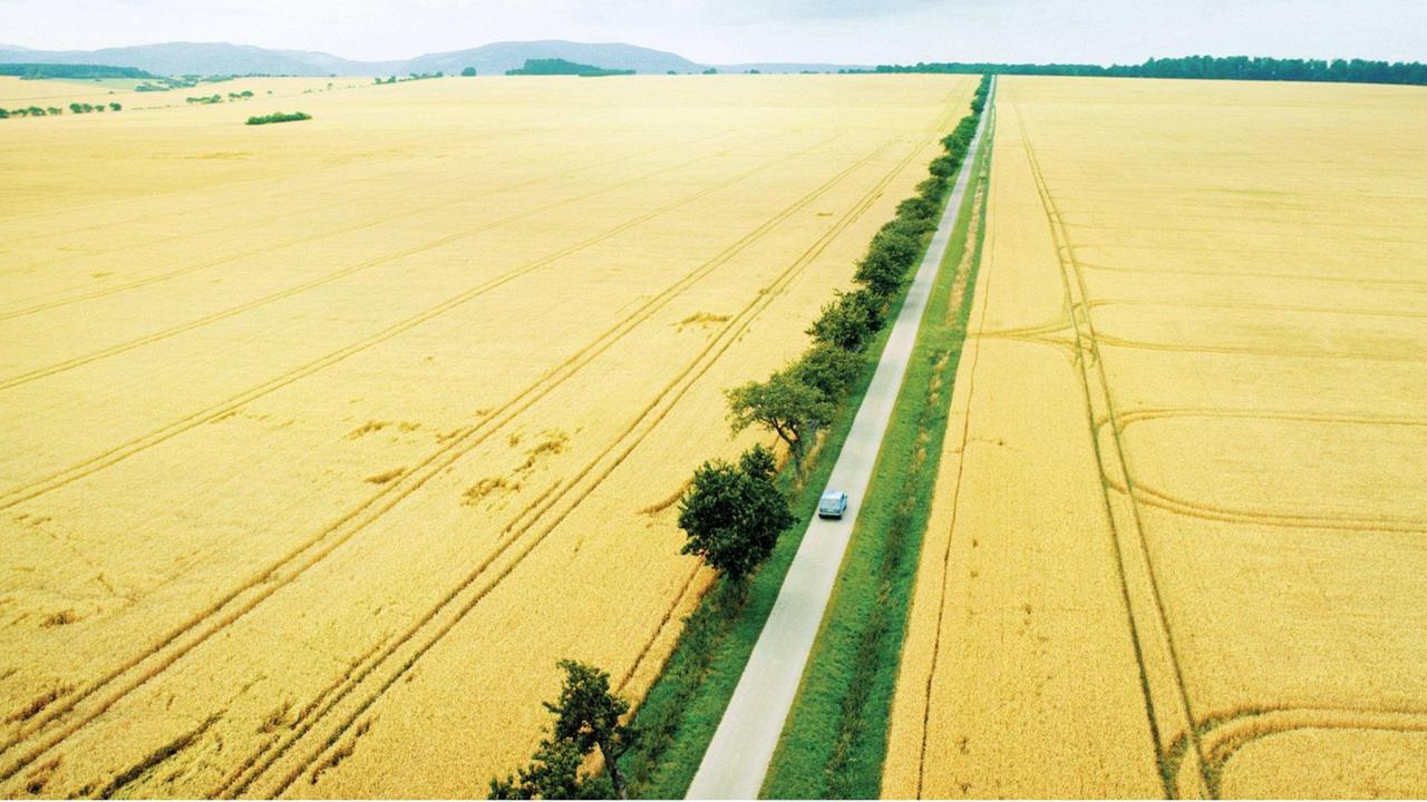 Zu sehen ist eine Straße, die durch ein Getreidefeld führt. Darauf ist ein blaues Auto. Das Bild stammt aus der Verfilmung des Romans "Tschick" von Wolfgang Herrndorf. Zu sehen ist eine Straße, die durch ein Getreidefeld führt. Darauf ist ein blaues Auto. Das Bild stammt aus der Verfilmung des Romans "Tschick" von Wolfgang Herrndorf.