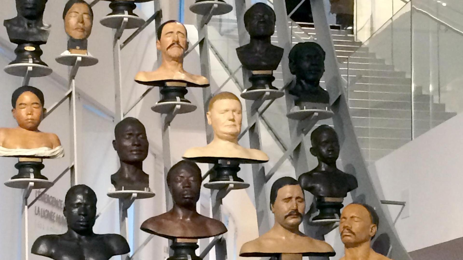 Die Galerie Büsten verschiedener Ethnien ist am 16.10.2015 im Museum des Menschen in Paris (Frankreich) zu sehen.