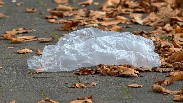 17.10.2020, Schleswig, ein herrenloser, leerer Müllbeutel aus Kunststoff liegt auf dem Bürgersteig zwischen Herbstlaub.