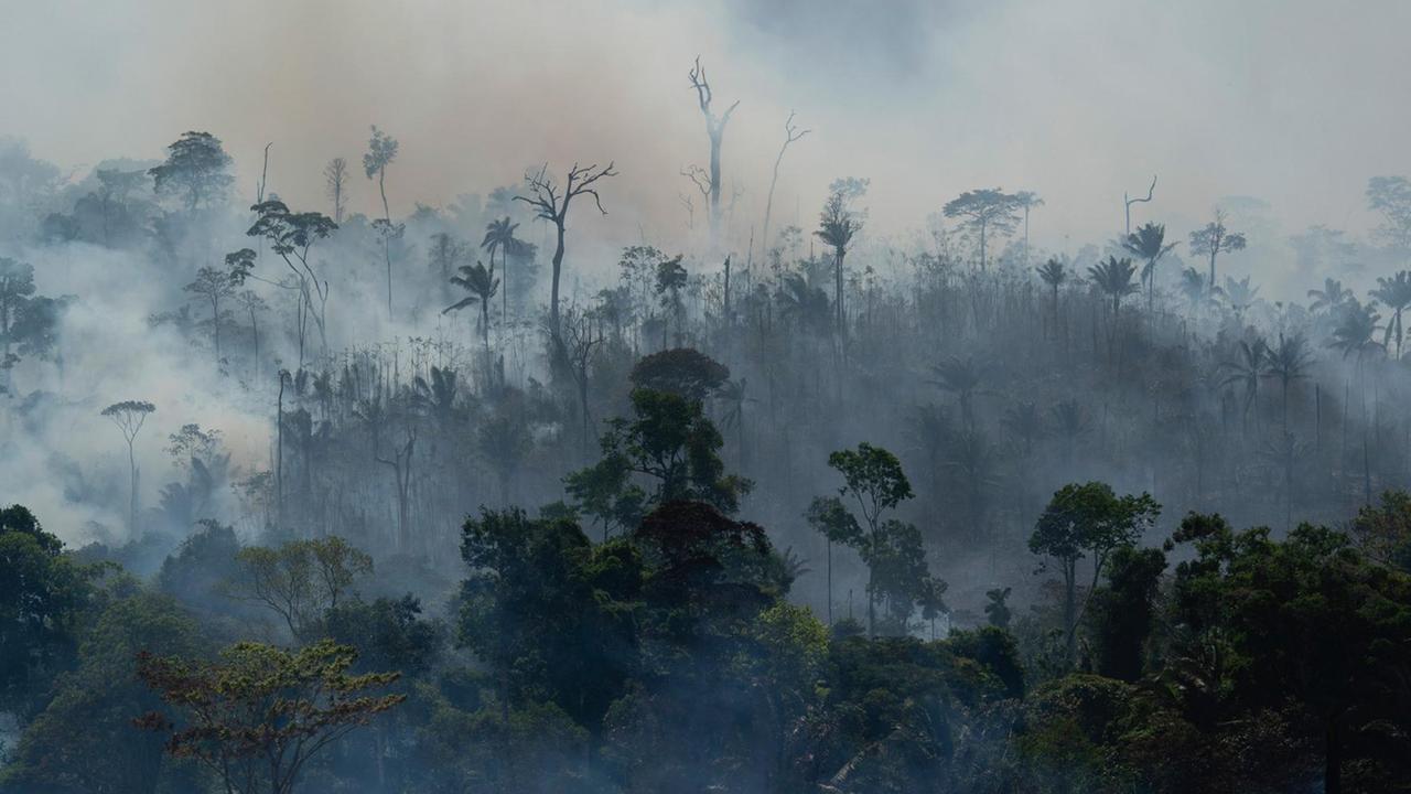 Rauch steigt aus dem Regenwald im Amazonas bei einem Brand.