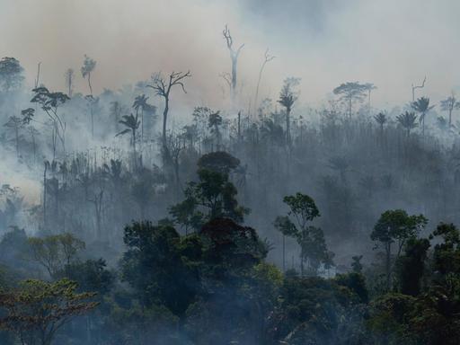 Rauch steigt aus dem Regenwald im Amazonas bei einem Brand.