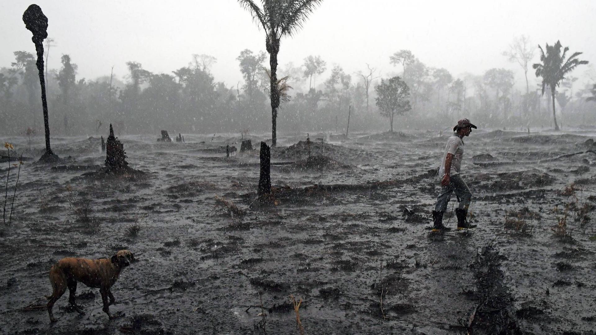 Feuer zerstöret den Regenwald, hier Porto Velho in Brasilien