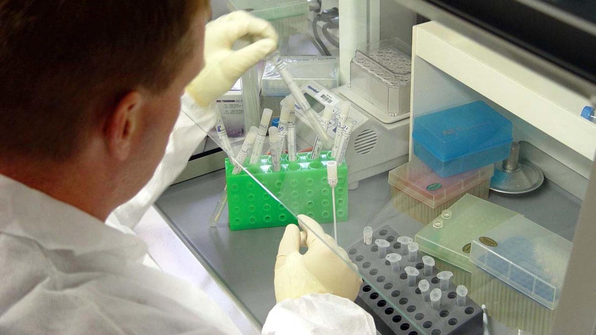 Das kuwaitische Herrscherhaus plant die größte DNA-Datenbank der Welt - alle im Land lebenden und ins Land reisende Menschen sollen erfasst werden. Doch nach Kritik im eigenen Land und auch aus Europa scheint die Führung nun zurückzurudern Das kuwaitische Herrscherhaus plant die größte DNA-Datenbank der Welt - alle im Land lebenden und ins Land reisende Menschen sollen erfasst werden. Doch nach Kritik im eigenen Land und auch aus Europa scheint die Führung nun zurückzurudern