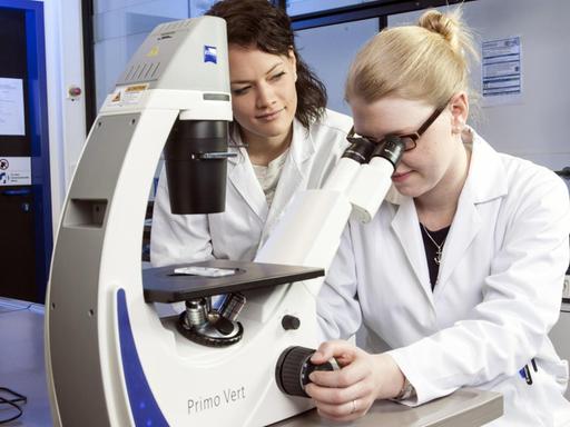 Pharmazeutinnen am Mikroskop im Genlabor, Heinrich-Heine-Universität, Düsseldorf,