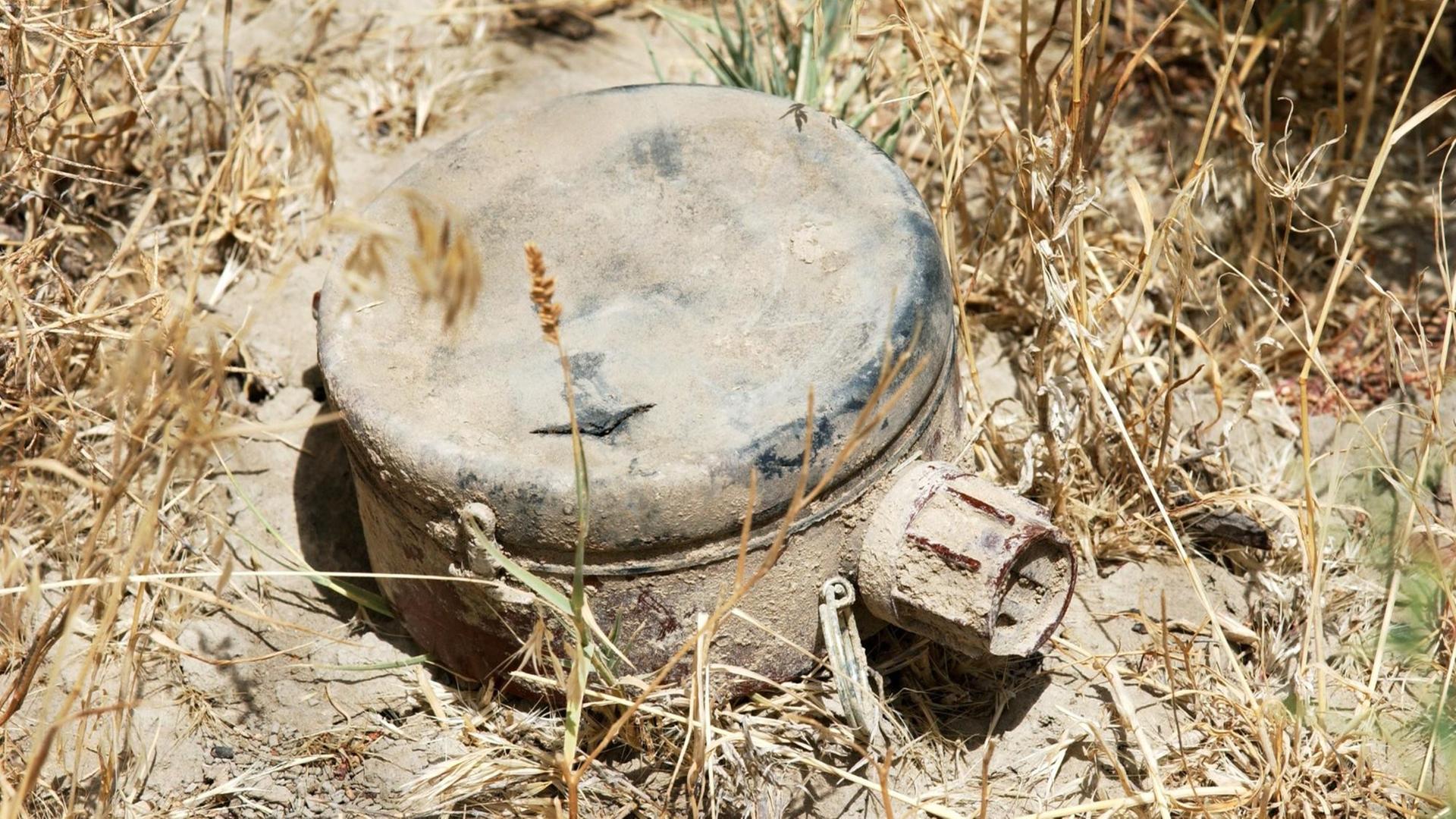 Ein freigelegte Tretmine liegt auf einem Stück Erde mit vertrockneter Vegetation. Ein freigelegte Tretmine liegt auf einem Stück Erde mit vertrockneter Vegetation.