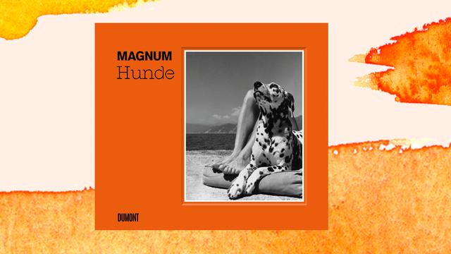Cover des Bildbands "Magnum Hunde": Vor orangenem Hintergrunf befindet sich ein Schwarzweißfoto eines sich ausruhenden Dalmatiners, der sich an die nackten Beine eines Mensch gelehnt hat.