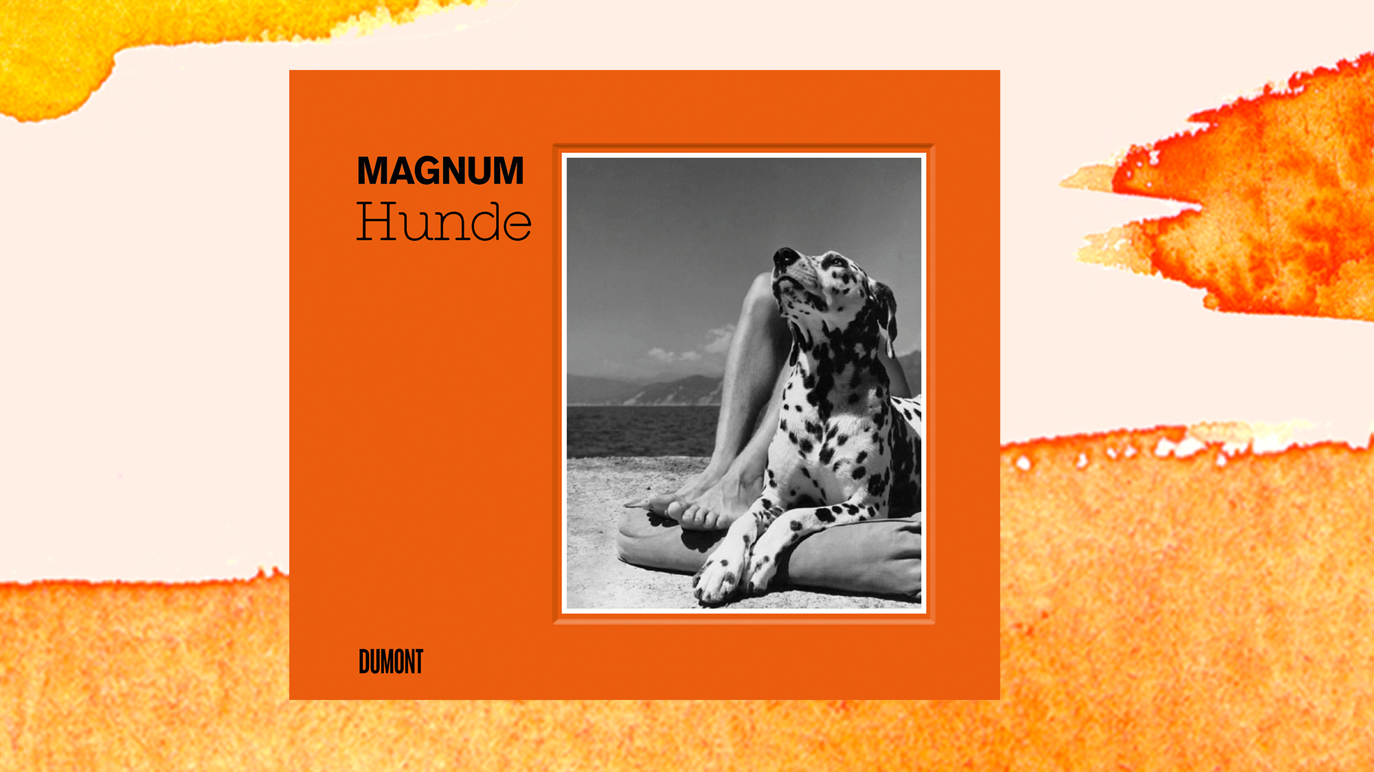 Bildband "Magnum Hunde" - Vierbeiner in allen Lebenslagen