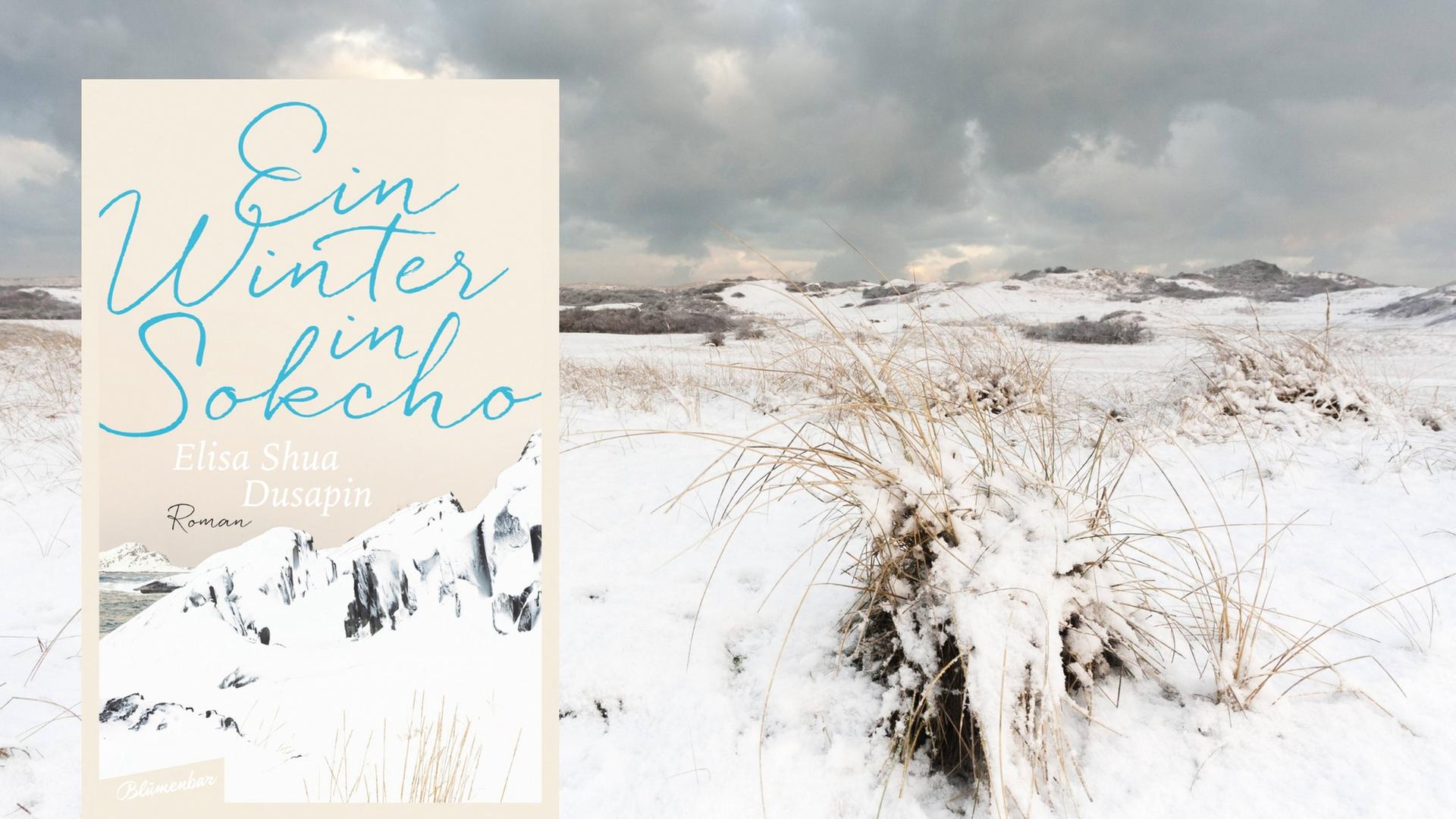 Buchcover: Elisa Shua Dusapin: „Ein Winter in Sokcho“ Buchcover: Elisa Shua Dusapin: „Ein Winter in Sokcho“
