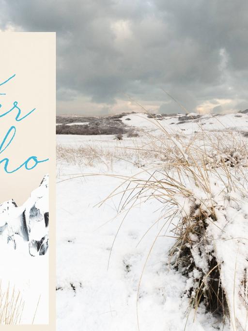 Buchcover: Elisa Shua Dusapin: „Ein Winter in Sokcho“