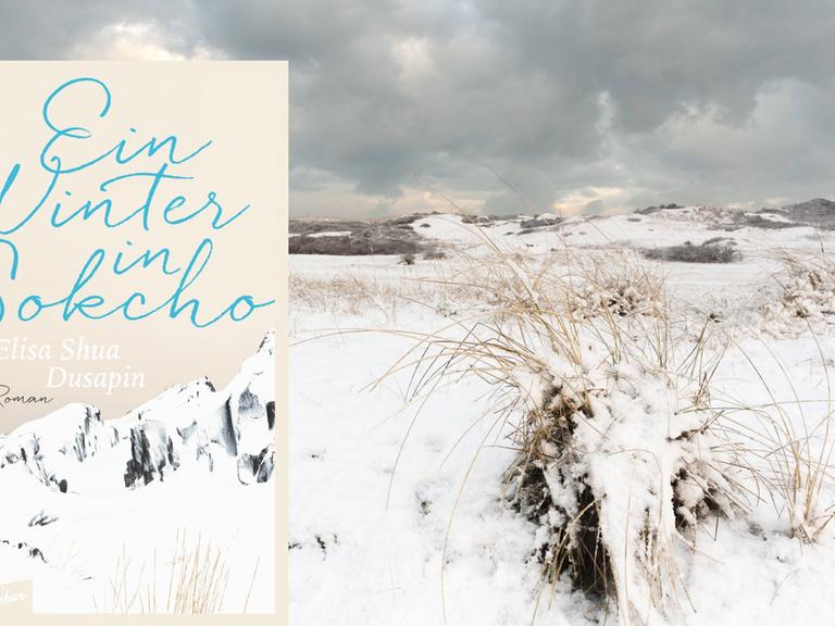 Buchcover: Elisa Shua Dusapin: „Ein Winter in Sokcho“