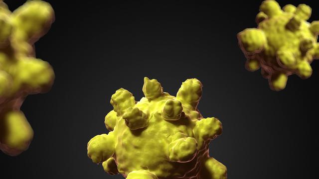 Computer-Animation eines Masernvirus