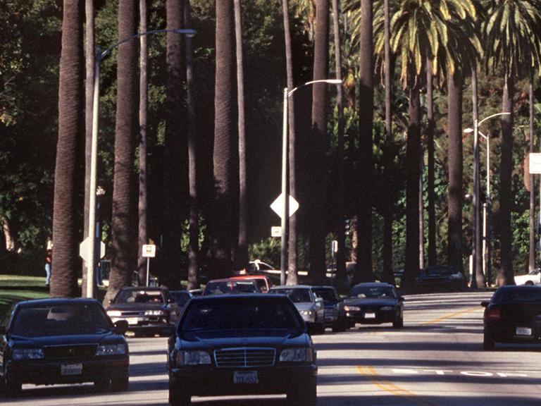 Der Palms Drive in der US-amerikanischen Millionenstadt Los Angeles