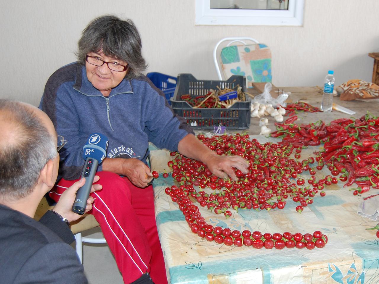 Kirschpaprika nach der Ernte Kirschpaprika nach der Ernte