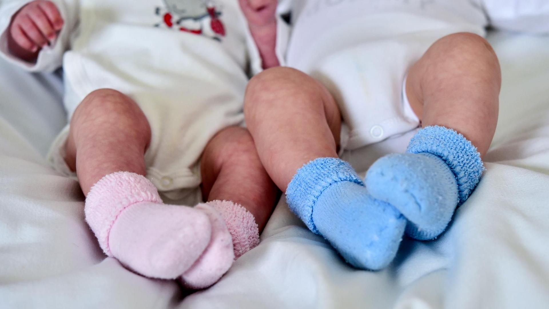 Rosa und blaue Söckchen für ein Mädchen und einen Jungen und die nackten Babybeine von Zwillingen. Rosa und blaue Söckchen für ein Mädchen und einen Jungen und die nackten Babybeine von Zwillingen.