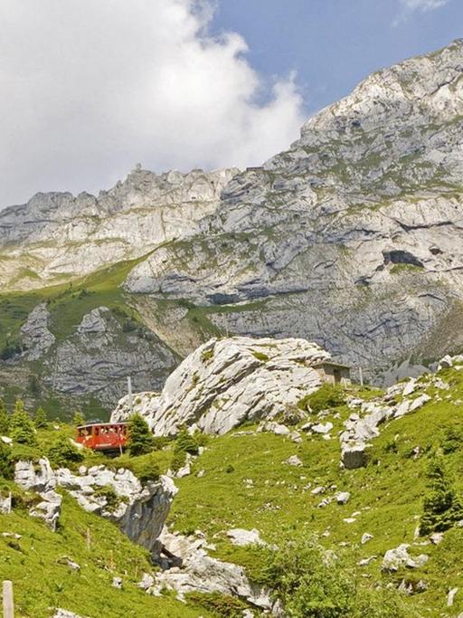 Ein Blick aus einem fahrenden Schweizer Zug auf die Berge bei Luzern