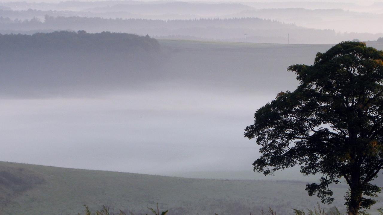Frühnebel liegt über dem Oberwinkeler Trockenmaar - ein Vulkansee ohne Wasser in der Nähe von Gillenfeld in der Eifel. Frühnebel liegt über dem Oberwinkeler Trockenmaar - ein Vulkansee ohne Wasser in der Nähe von Gillenfeld in der Eifel.