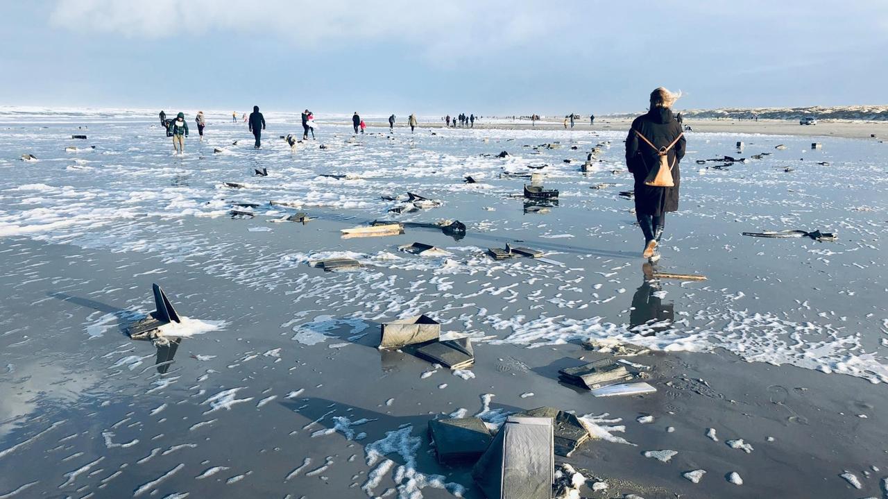 Angespültes Treibgut an einem niederländischen Strand