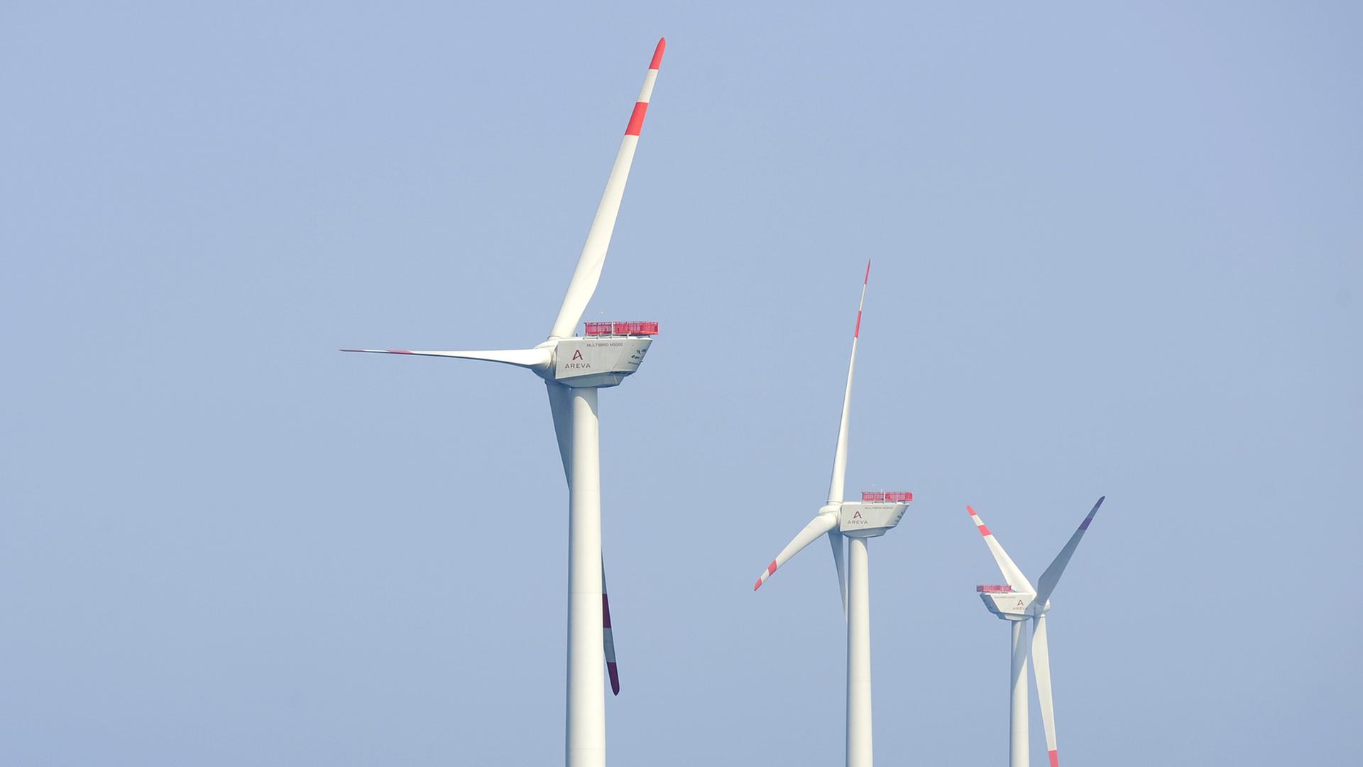 Leider liegt für dieses Bild keine Bildbeschreibung vor Leider liegt für dieses Bild keine Bildbeschreibung vor