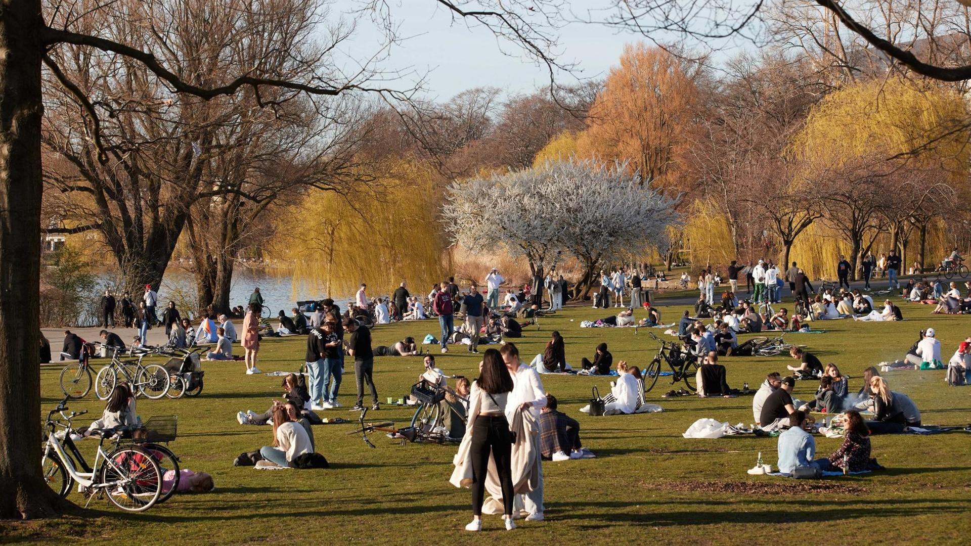 Menschen genießen die Abendsonne auf der Alsterwiese Schwanenwik in Hamburg. Menschen genießen die Abendsonne auf der Alsterwiese Schwanenwik in Hamburg.