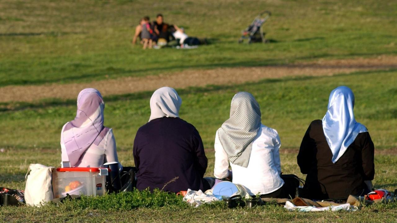 Sie sehen vier Frauen mit Kopftuch auf einer Wiese. Sie sehen vier Frauen mit Kopftuch auf einer Wiese.
