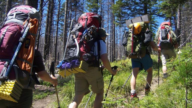 Rucksacktouristen wandern durch einen Wald Rucksacktouristen wandern durch einen Wald