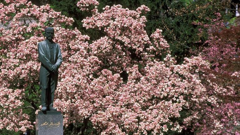 Denkmal des Komponsiten vor rosa blühendem Strauch. Denkmal des Komponsiten vor rosa blühendem Strauch.