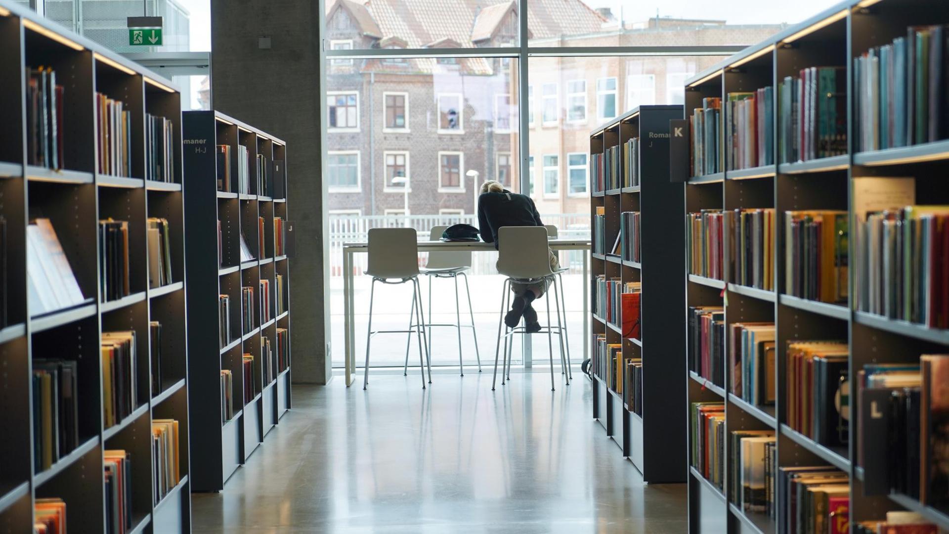 Bücherregale in einer Bibliothek. Bücherregale in einer Bibliothek.