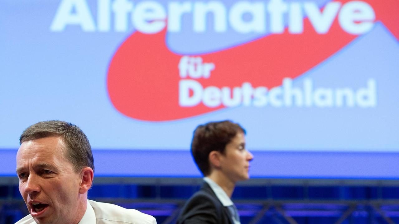 Afd-Vorsitzender Lucke und seine Stellvertreterin Petry beim Parteitag Afd-Vorsitzender Lucke und seine Stellvertreterin Petry beim Parteitag