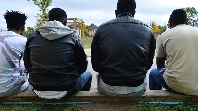 Vier junge Männer sitzen auf einem Holzgestell.