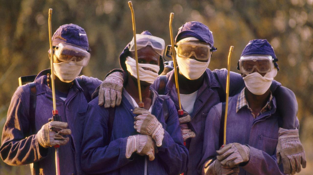 Arbeiter versprühen DDT gegen die Tsetse-Fliege im Okavango-Delta in Botswana (2014)