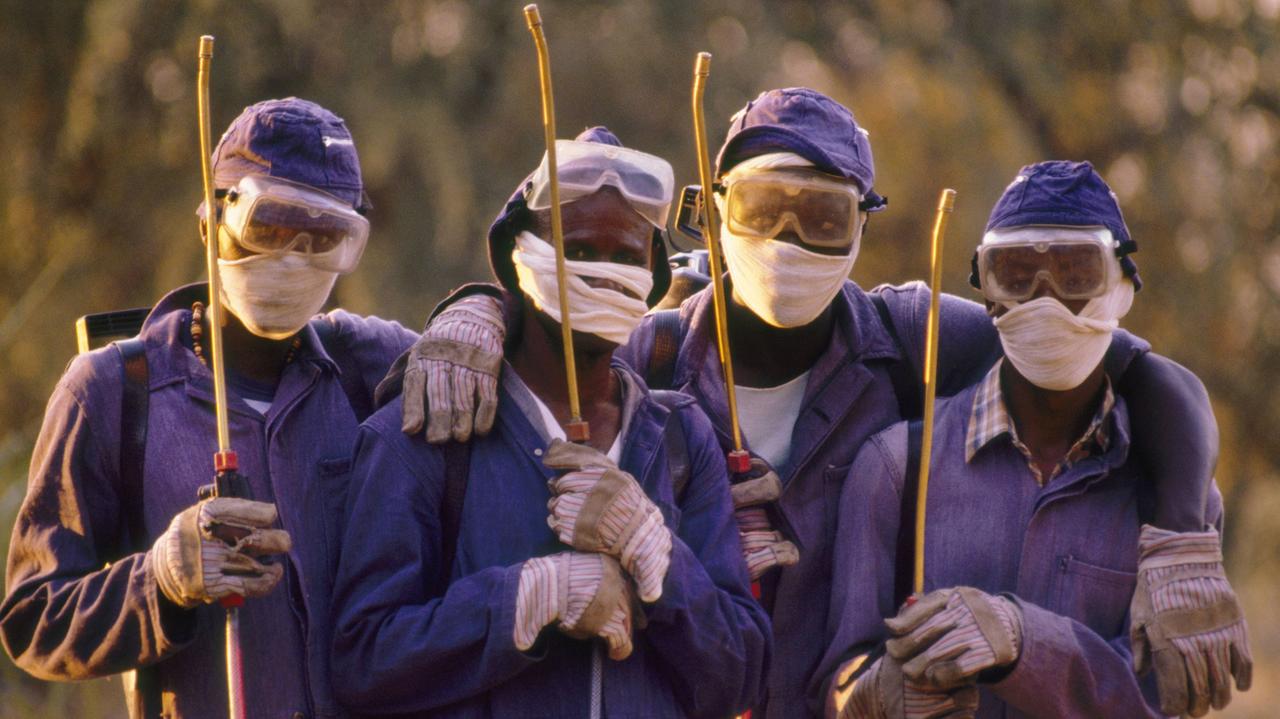Arbeiter versprühen DDT gegen die Tsetse-Fliege im Okavango-Delta in Botswana (2014) Arbeiter versprühen DDT gegen die Tsetse-Fliege im Okavango-Delta in Botswana (2014)