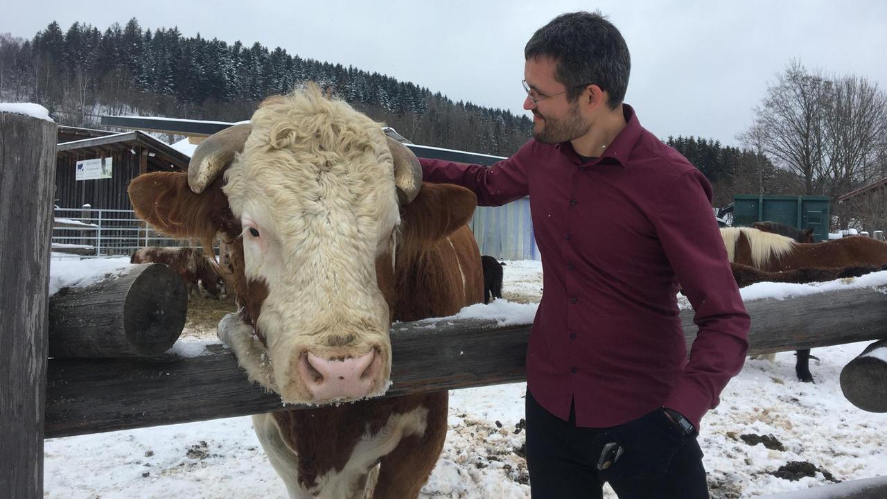 Ein junger Mann im roten Pullover steht in verschneiter Landschaft an einem gatter, links von ihm streckt ein rotbuntes Rind seinen breiten zottigen Kopf über den Zaun. Ein junger Mann im roten Pullover steht in verschneiter Landschaft an einem gatter, links von ihm streckt ein rotbuntes Rind seinen breiten zottigen Kopf über den Zaun.