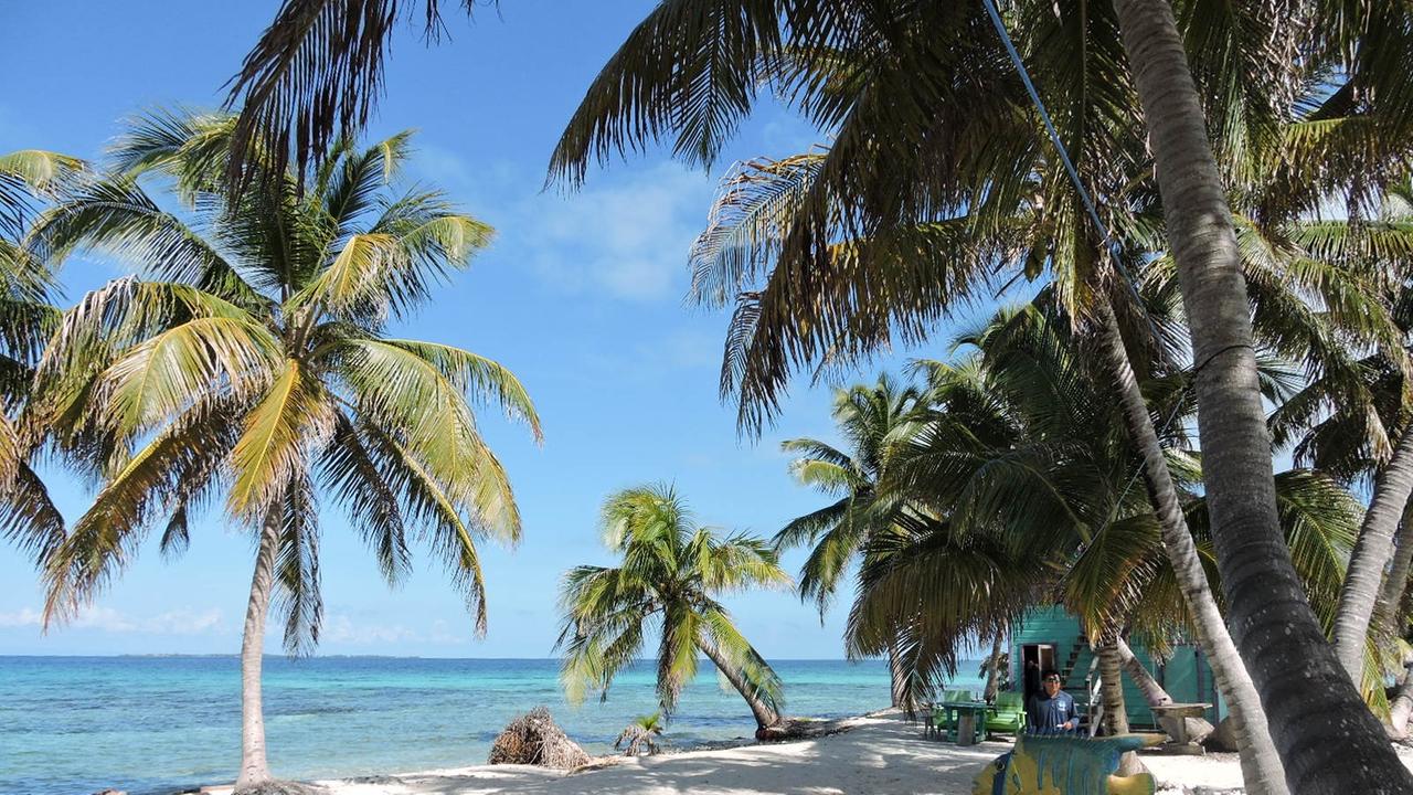Heller Sand, Palmen, blaues Meer im Hintergrund. Heller Sand, Palmen, blaues Meer im Hintergrund.
