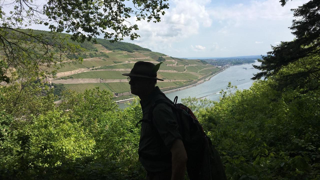 Profil von Mitwanderer Holger Scheel mit Blick auf den Rhein bei Bingen Profil von Mitwanderer Holger Scheel mit Blick auf den Rhein bei Bingen