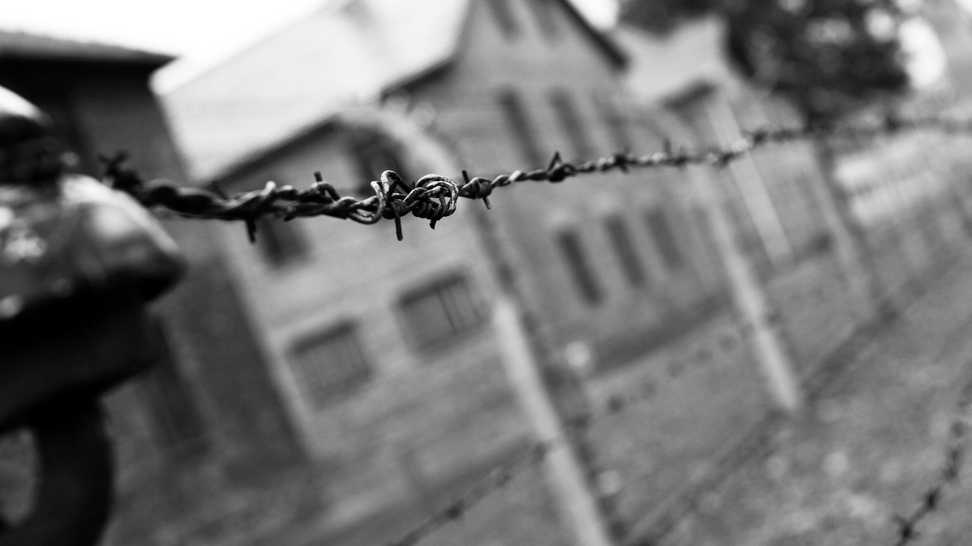 Das Konzentrationslager Auschwitz-Birkenau. Das Konzentrationslager Auschwitz-Birkenau.