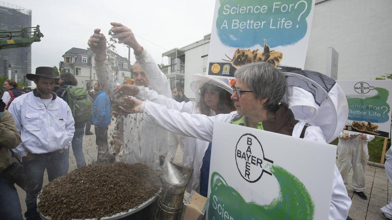 Imker verstreuen tote Bienen bei der Hauptversammlung der Bayer AG in Bonn Imker verstreuen tote Bienen bei der Hauptversammlung der Bayer AG in Bonn
