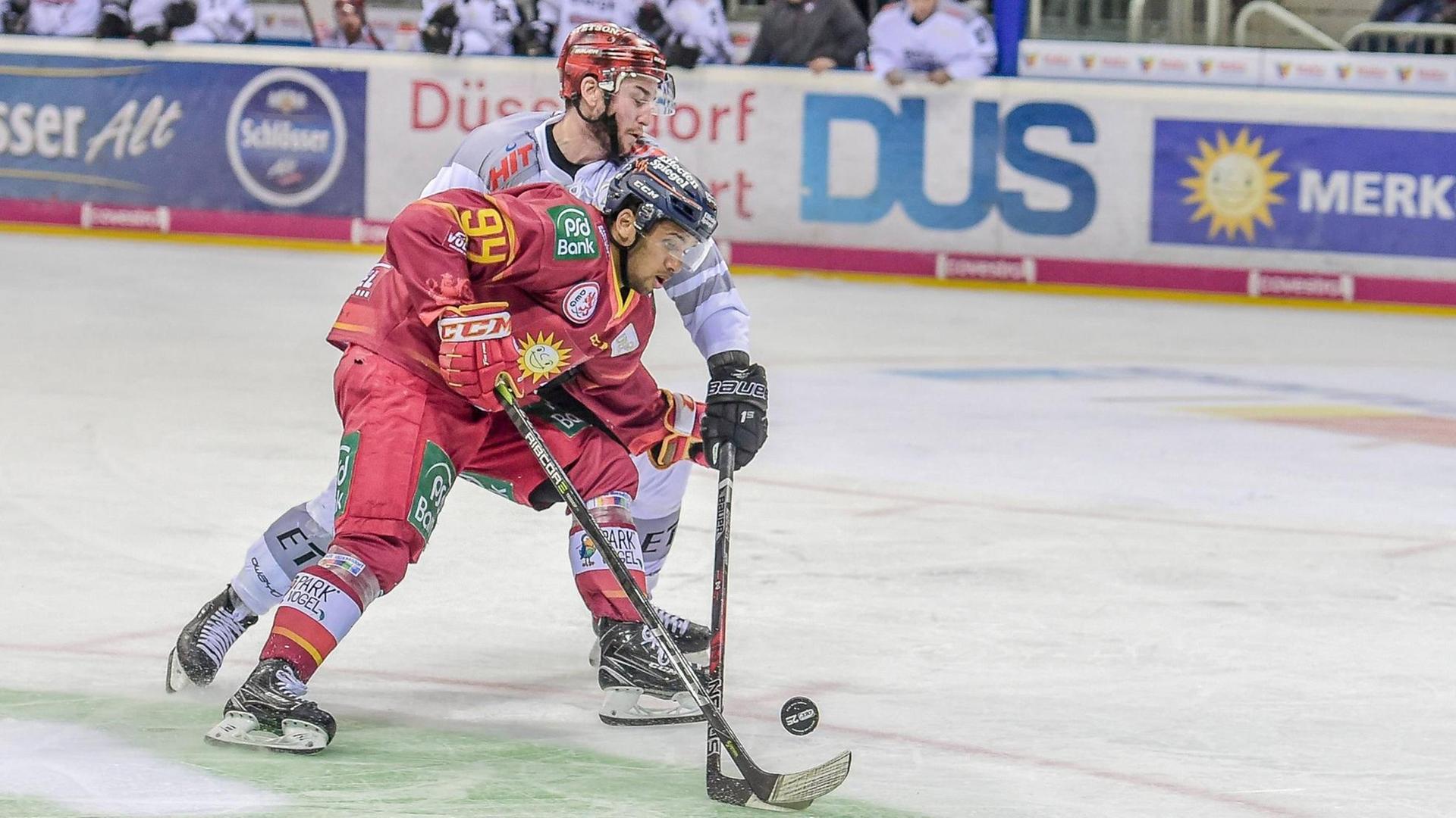 Duesseldorf, Deutschland, 19.10.2018, DEL, Saison 2018/2019, DEL, 12. Spieltag, Duesseldorfer EG - Koelner Haie, Lukas Laub (Duesseldorfer EG) battle for the ball ( DeFodi520 *** Duesseldorf Germany 19 10 2018 DEL Season 2018 2019 DEL 12 Matchday Duesseldorfer EC Koelner Haie Lukas Laub Duesseldorf EC battle for the ball DeFodi520 Duesseldorf, Deutschland, 19.10.2018, DEL, Saison 2018/2019, DEL, 12. Spieltag, Duesseldorfer EG - Koelner Haie, Lukas Laub (Duesseldorfer EG) battle for the ball ( DeFodi520 *** Duesseldorf Germany 19 10 2018 DEL Season 2018 2019 DEL 12 Matchday Duesseldorfer EC Koelner Haie Lukas Laub Duesseldorf EC battle for the ball DeFodi520