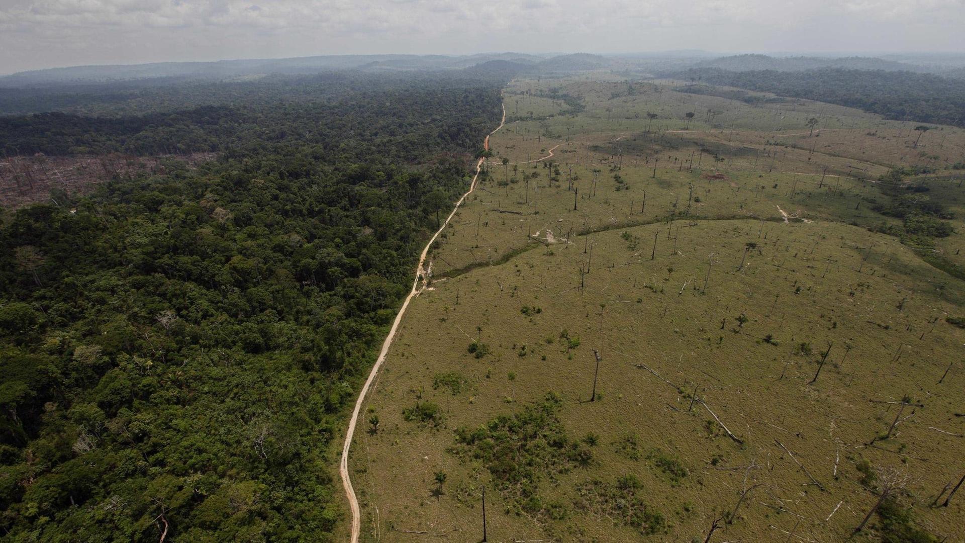 Luftaufnahme zeigt Abholzung im brasilianischen Regenwald entlang einer Straße, Foto vom 15. September 2009