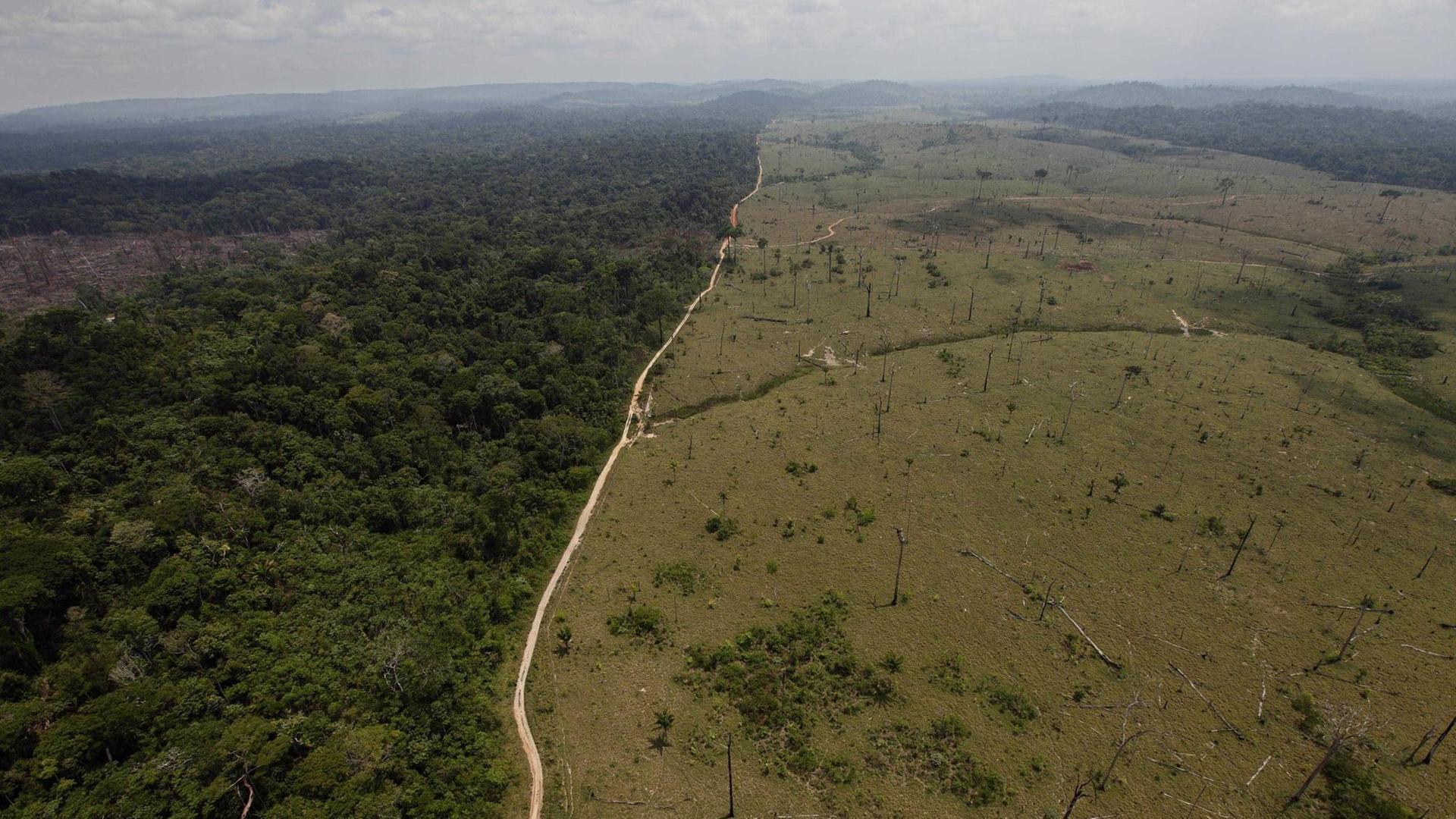 Luftaufnahme zeigt Abholzung im brasilianischen Regenwald entlang einer Straße, Foto vom 15. September 2009 Luftaufnahme zeigt Abholzung im brasilianischen Regenwald entlang einer Straße, Foto vom 15. September 2009