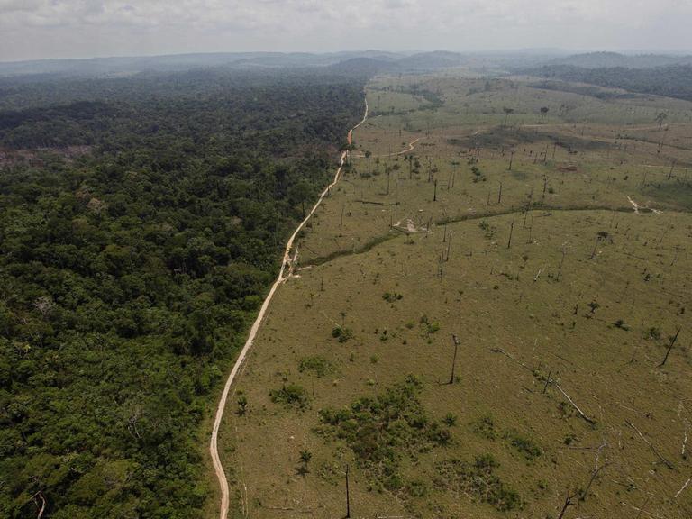 Luftaufnahme zeigt Abholzung im brasilianischen Regenwald entlang einer Straße, Foto vom 15. September 2009